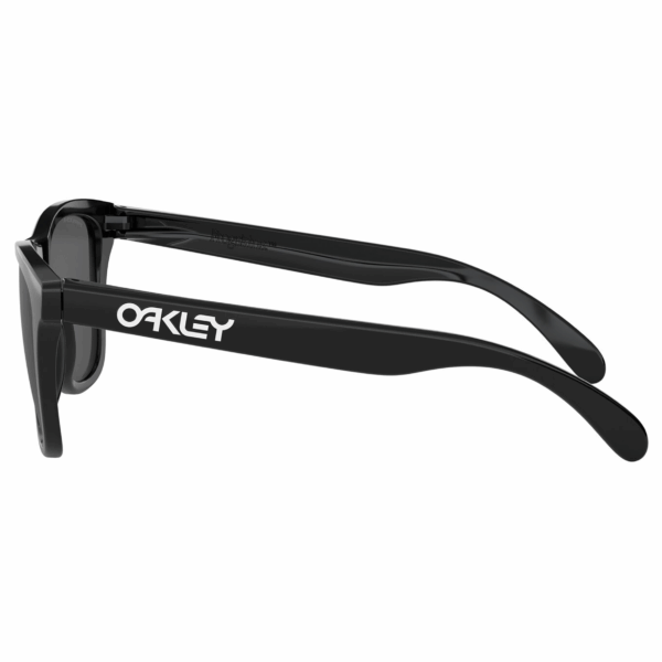 Oakley Frogskins (polished black/prizm black) - Image 4